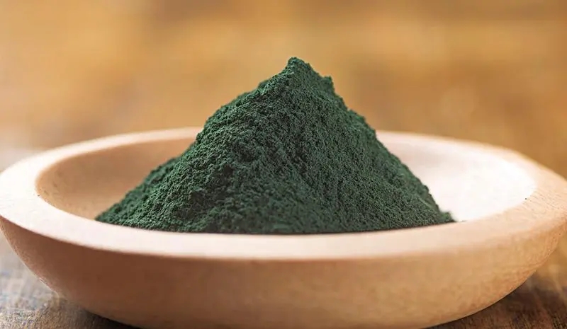 螺旋藻粉振動篩